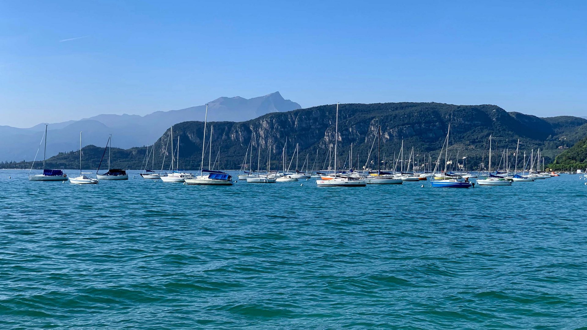 Attività a Bardolino e dintorni